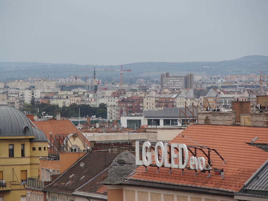 ASUS ZenBook 14 OLED (2025)